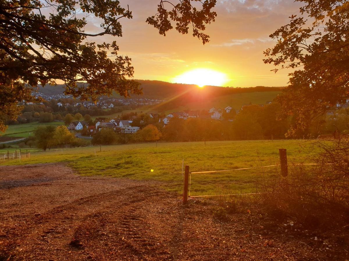 Andinas Ferienwohnung In Ruhiger Lage Direkt Am Wald Wilnsdorf Eksteriør billede
