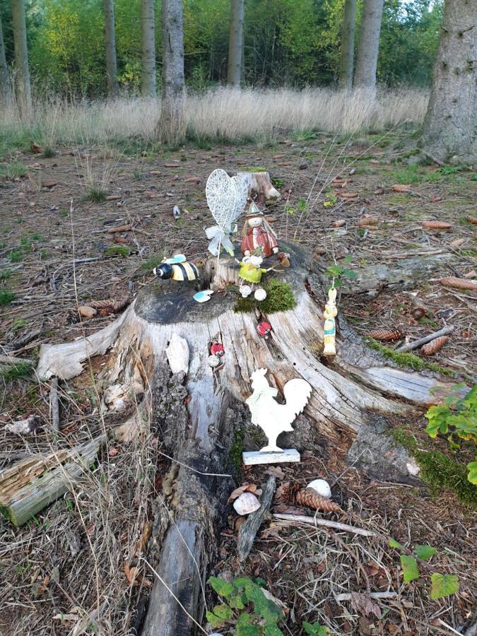 Andinas Ferienwohnung In Ruhiger Lage Direkt Am Wald Wilnsdorf Eksteriør billede
